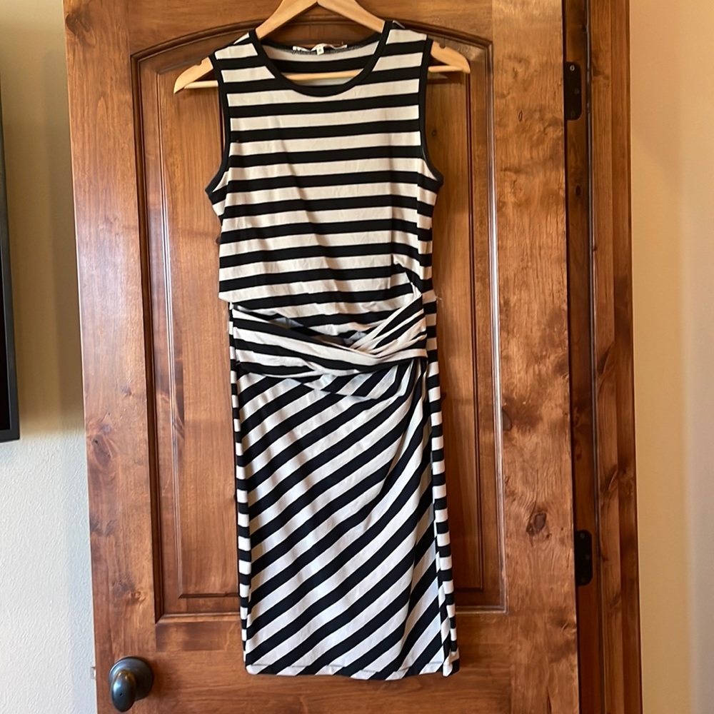 Black and Tan Rachle Roy dress